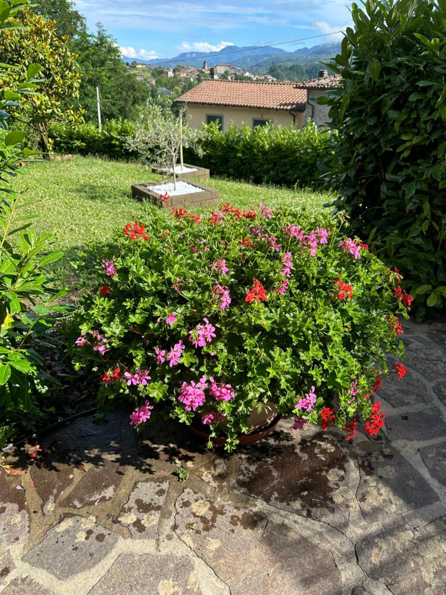 Casa Margherita Celide San Romano in Garfagnana Bagian luar foto